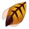 Bearendizer Shield