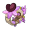 Belladonna's Tenderness