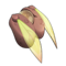 Bzzegg Supervisor's Winged Shell