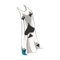Cape of Spades