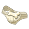 Captain Chafer's Spare Panties