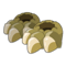 Crocodyl Chief Sharp Slippers