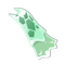 Dremoan Cape