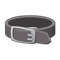 Gadjet's Belt