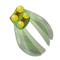 Green Scaracape