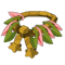 Koalak Belt