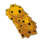 Nevark's Cape