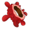 Pawl Ouatnos' Ring