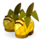 Pineapi Boots