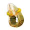 Polished Ring