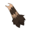 Raccooper's Tail