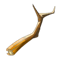 Root Een