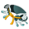 Splash Sash