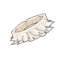 Tash Ring