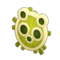 Terrdala Shield