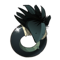 The Black Crow's Ring