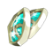 Water Carapace