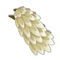 Wind Kwape