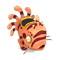 Coral and Crimson Seemyool