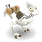 Ivory Dragoturkey